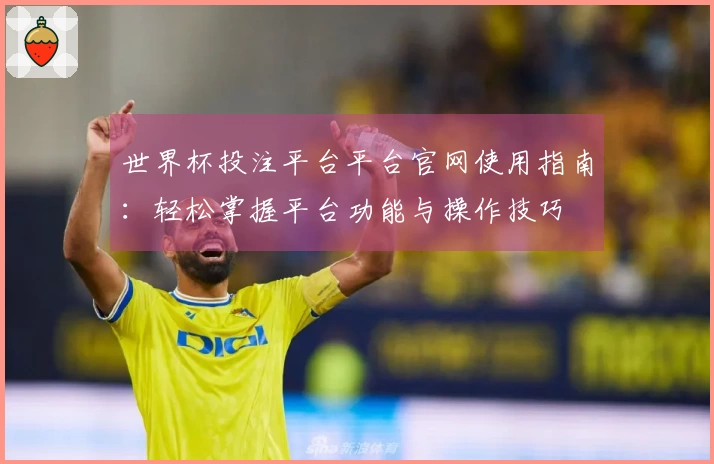 世界杯投注平台平台官网使用指南：轻松掌握平台功能与操作技巧