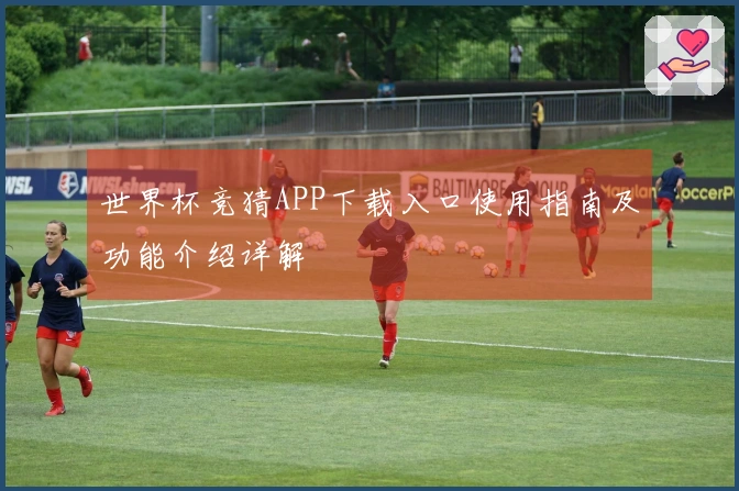 世界杯竞猜APP下载入口使用指南及功能介绍详解