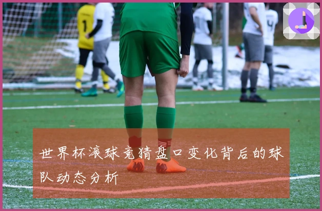 世界杯滚球竞猜盘口变化背后的球队动态分析