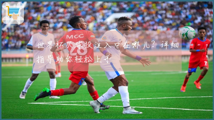 世界杯买球投注入口在哪儿？详细指导助你轻松上手