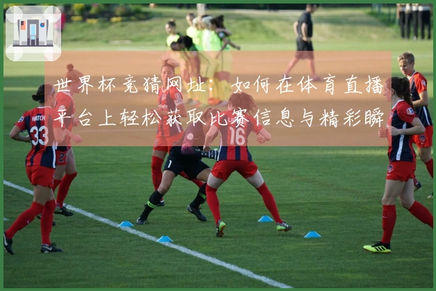 世界杯竞猜网址：如何在体育直播平台上轻松获取比赛信息与精彩瞬间