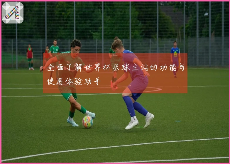 全面了解世界杯买球主站的功能与使用体验助手