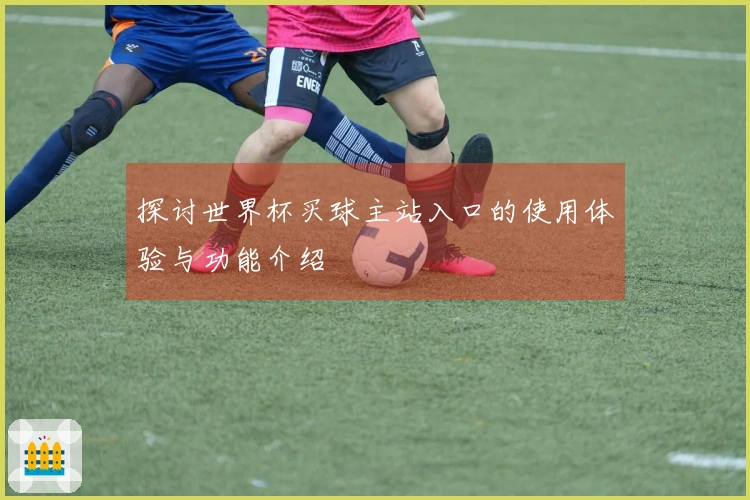 探讨世界杯买球主站入口的使用体验与功能介绍