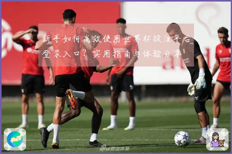 新手如何高效使用世界杯投注平台登录入口？实用指南与体验分享