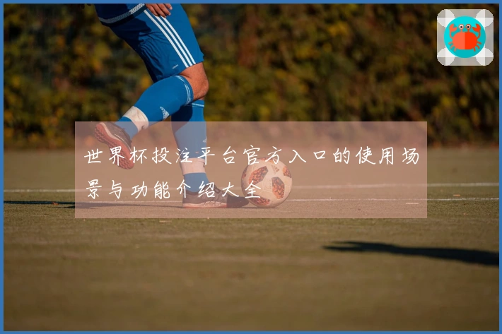 世界杯投注平台官方入口的使用场景与功能介绍大全