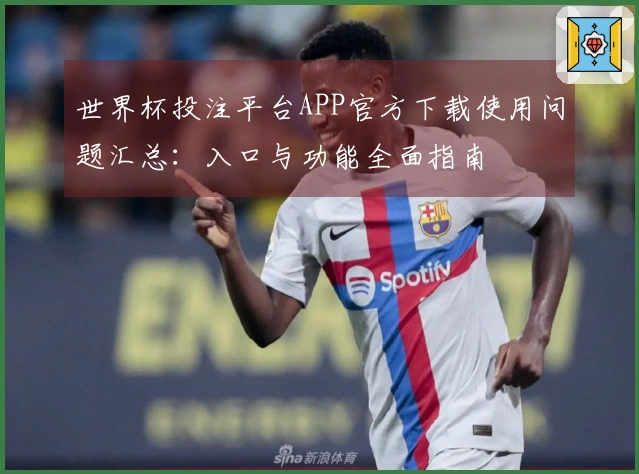世界杯投注平台APP官方下载使用问题汇总：入口与功能全面指南