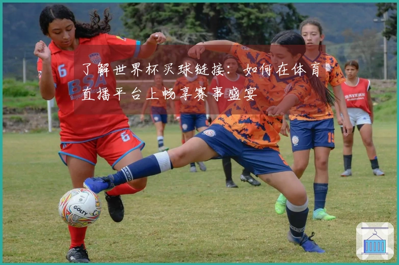 了解世界杯买球链接：如何在体育直播平台上畅享赛事盛宴