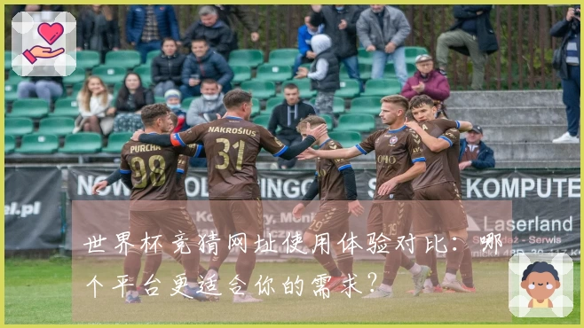世界杯竞猜网址使用体验对比：哪个平台更适合你的需求？