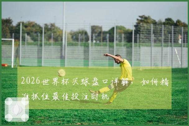 2026世界杯买球盘口详解，如何精准抓住最佳投注时机