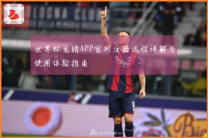 世界杯竞猜APP官网注册流程详解与使用体验指南