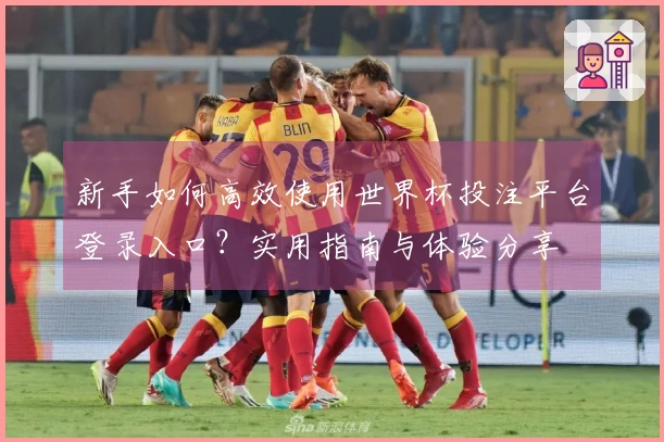 新手如何高效使用世界杯投注平台登录入口？实用指南与体验分享