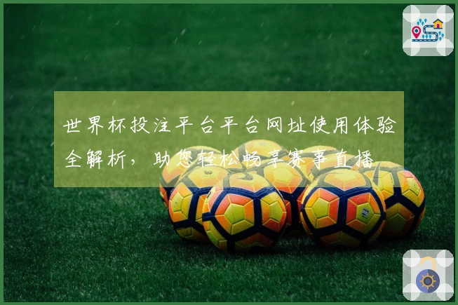 世界杯投注平台平台网址使用体验全解析，助您轻松畅享赛事直播