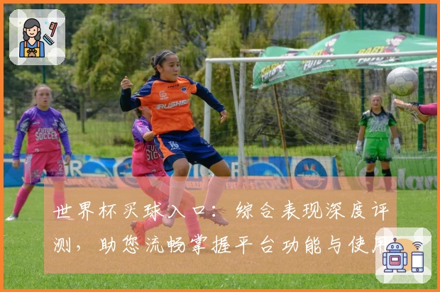 世界杯买球入口：综合表现深度评测，助您流畅掌握平台功能与使用技巧