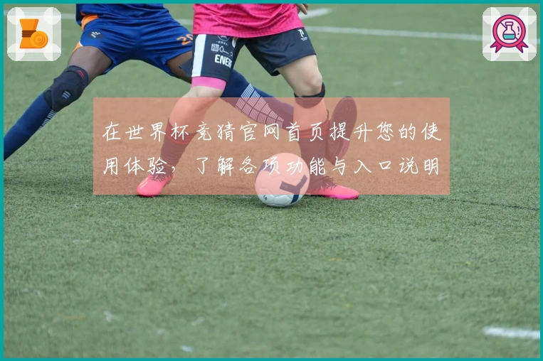 在世界杯竞猜官网首页提升您的使用体验，了解各项功能与入口说明