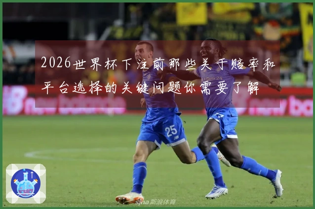 2026世界杯下注前那些关于赔率和平台选择的关键问题你需要了解