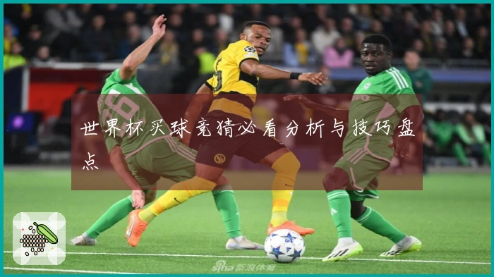 世界杯买球竞猜必看分析与技巧盘点
