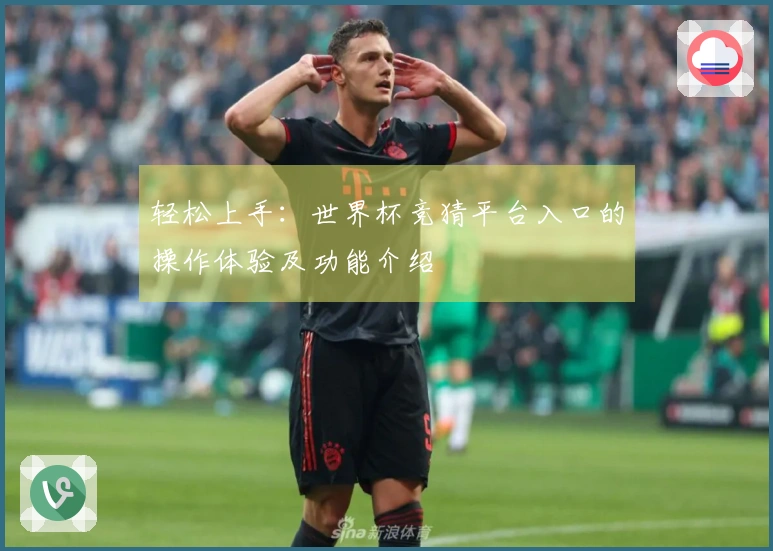 轻松上手：世界杯竞猜平台入口的操作体验及功能介绍